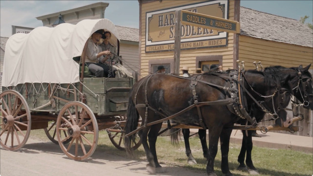 Watch Sod and Stubble Online