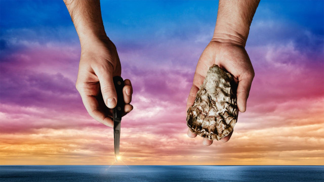 Watch The Oyster Shucker Online