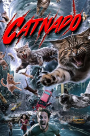 Catnado poster
