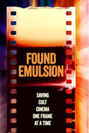 Found Emulsion poster