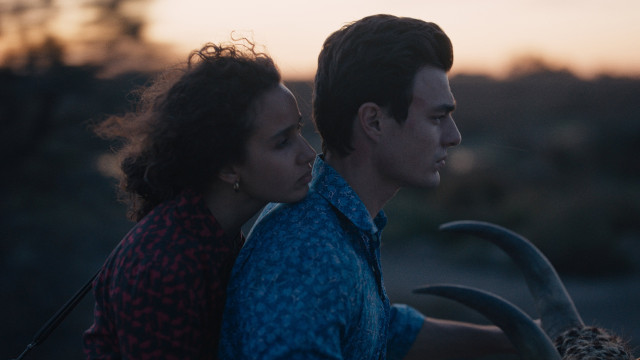 Watch Animale Online