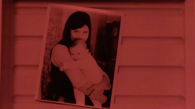 Watch A Photographic Memory Online