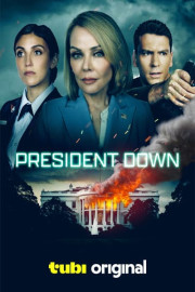 President Down poster