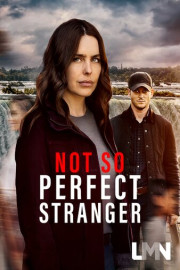 Not So Perfect Stranger poster