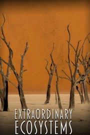 Extraordinary Ecosystems poster