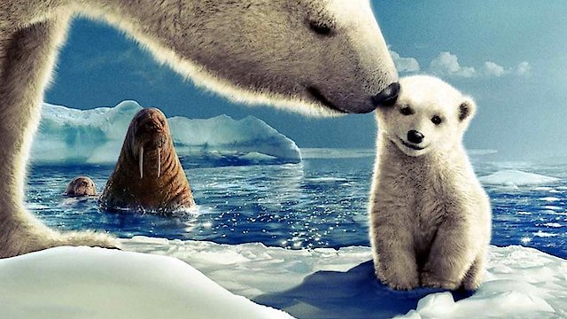 Watch Arctic Tale Online
