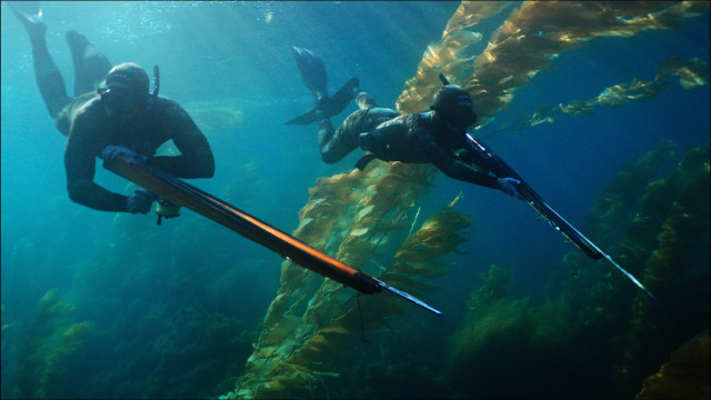 Watch Whisper Breach Online