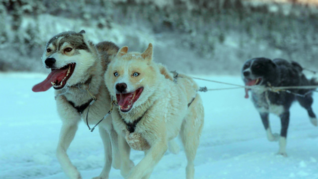 Watch Folktales Online