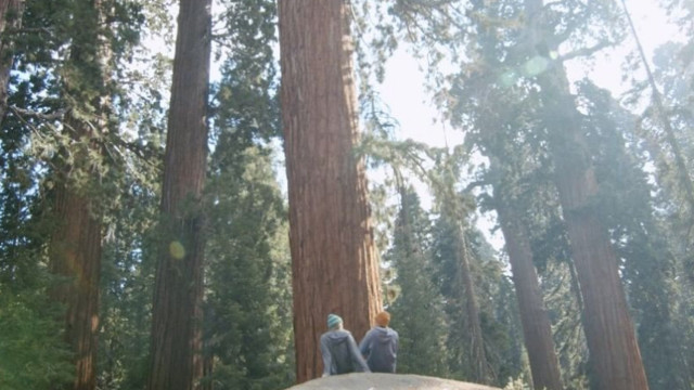 Watch Dear Luke, Love, Me Online