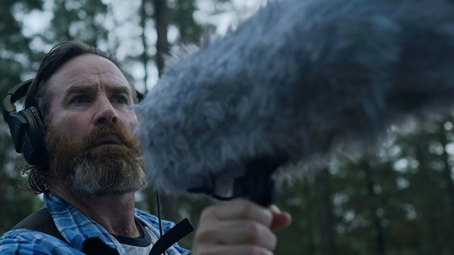 Watch Within the Pines Online