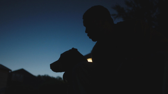 Watch Young King Online