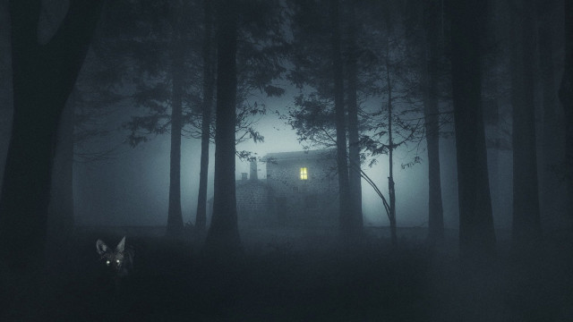 Watch Shelby Oaks Online