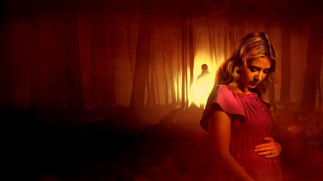 Watch Secret Lives of Sister Wives Online