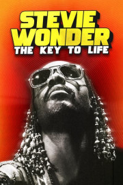 Stevie Wonder: The Key to Life poster