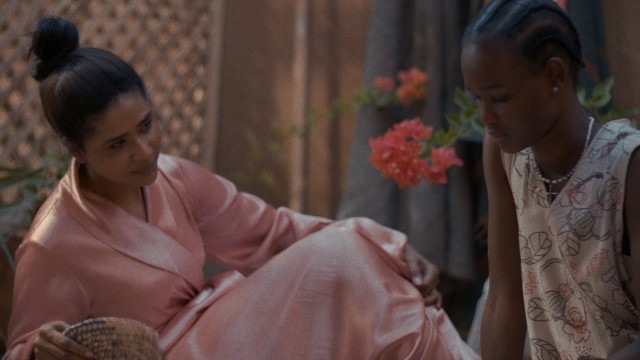 Watch Goodbye Julia Online