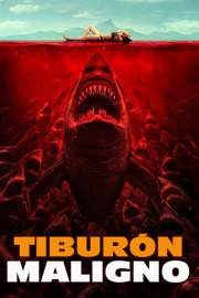 Tiburón maligno
