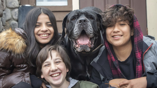 Watch Dog Patrol Online