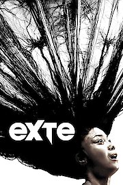 Exte poster