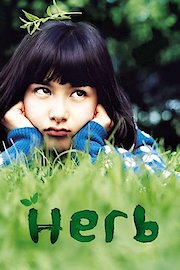 Herb poster