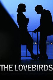 The Lovebirds poster