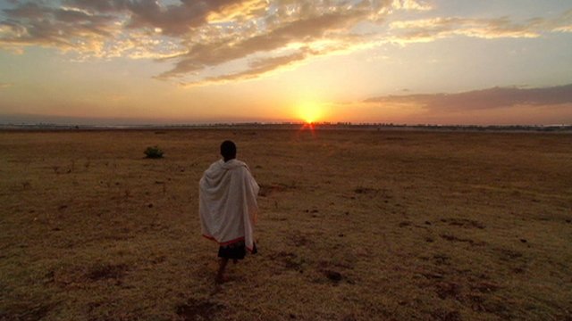 Watch A Walk to Beautiful Online