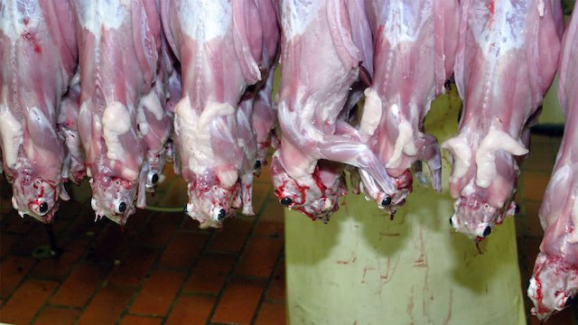 Watch Your Mommy Kills Animals Online