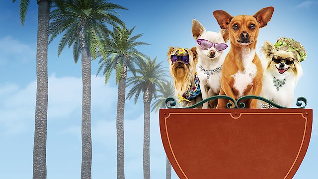Watch Beverly Hills Chihuahua Online