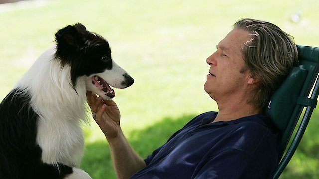Watch A Dog Year Online