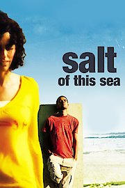 Salt of this Sea poster