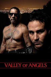 Valley of Angels poster