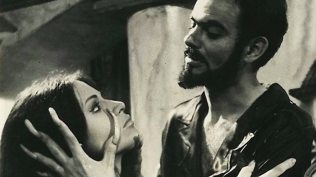 Watch The Strange World of Coffin Joe Online