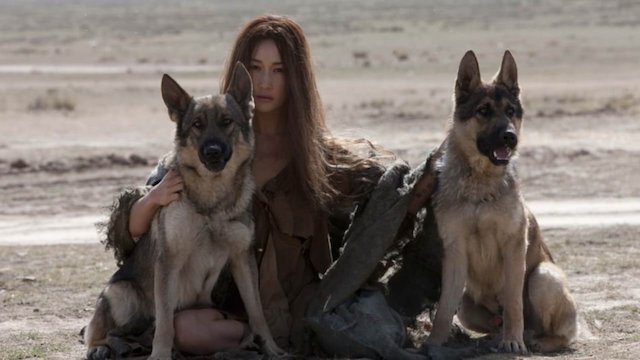 Watch The Warrior and the Wolf Online