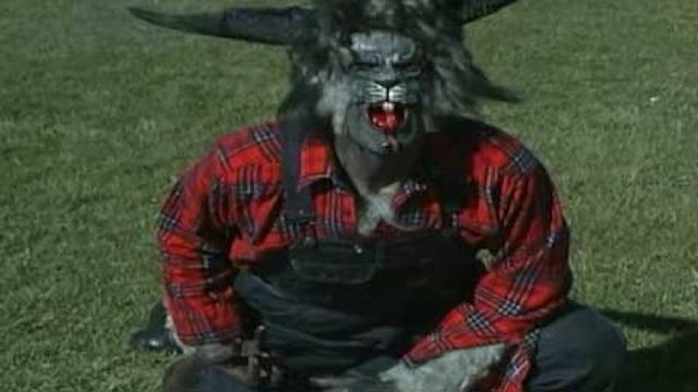 Watch Kottentail Online