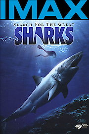Search for the Great Sharks 