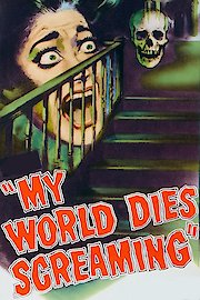 Terror in the Haunted House poster