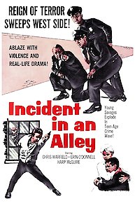 Incident In An Alley