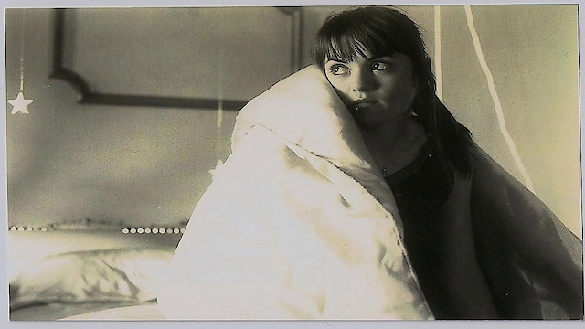 Watch Kwik Stop Online