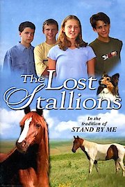 The Lost Stallions poster