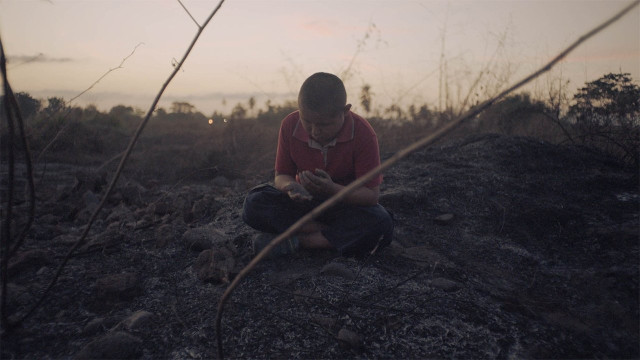 Watch Sansón and Me Online