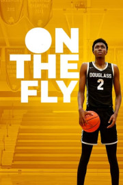 On the Fly