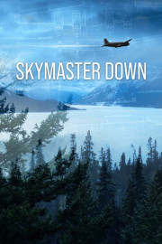 Skymaster Down poster