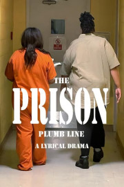 Prison Plumb Line