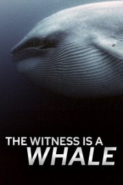 The Witness Is a Whale poster