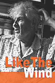 Like The Wind poster