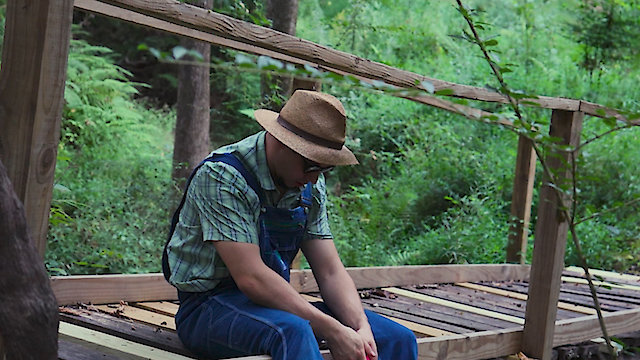 Watch The Ugly Twin Online