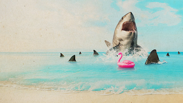 Watch Florida's Death Beach Online