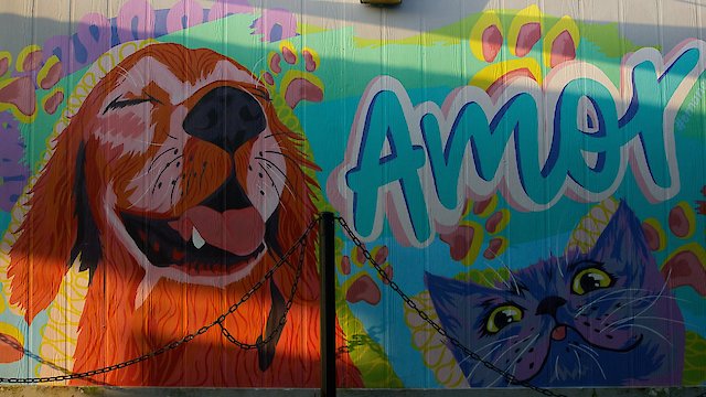 Watch No Companion Left Behind Online