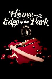 House On The Edge Of The Park poster