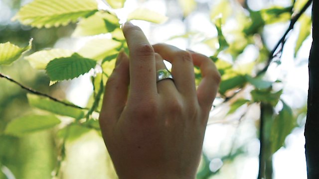 Watch Just Girls Online