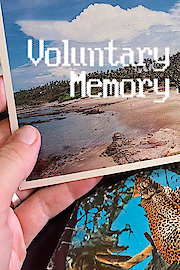 Voluntary Memory poster